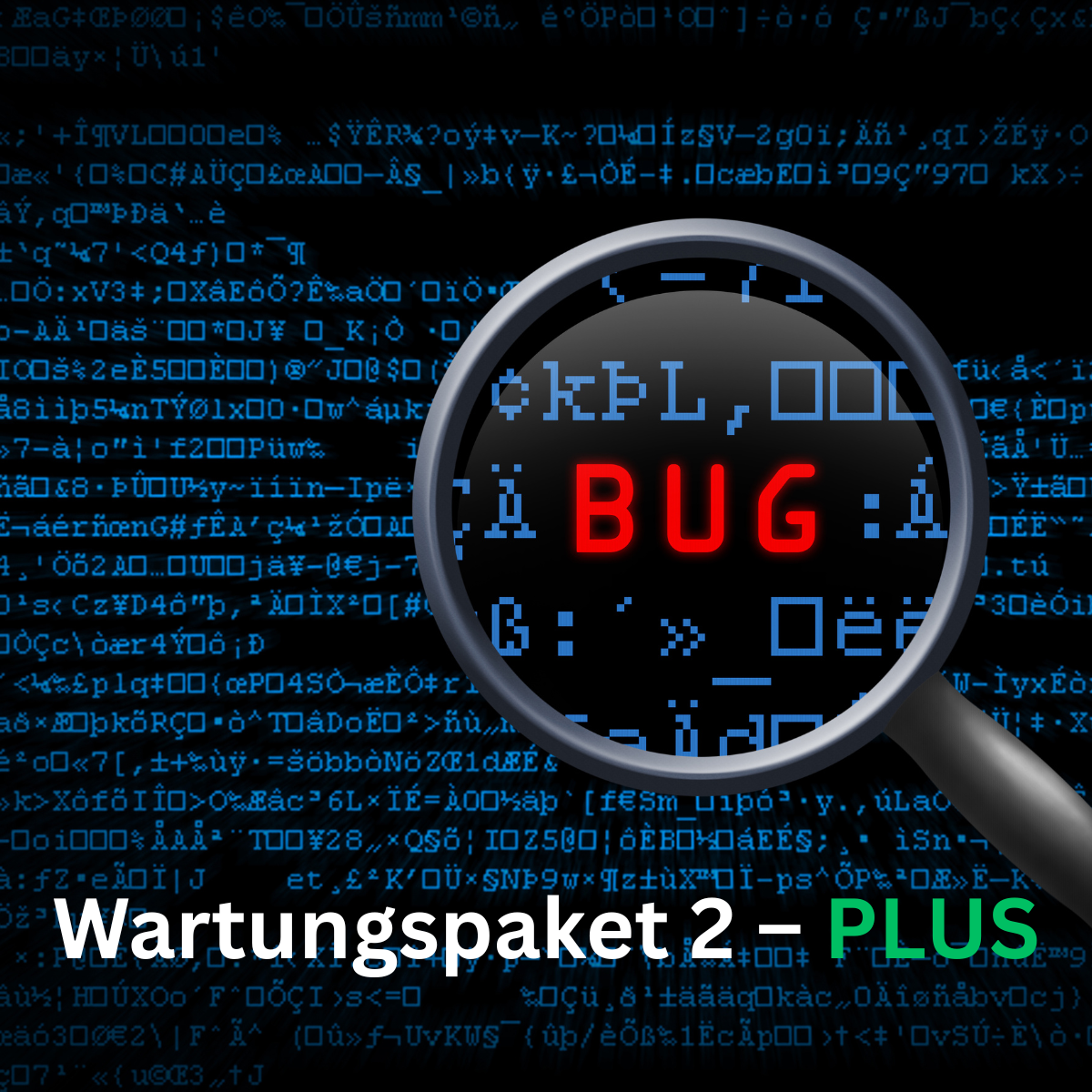 Wartungspaket 2 – Erweiterte Wartung / Updates & Systempflege