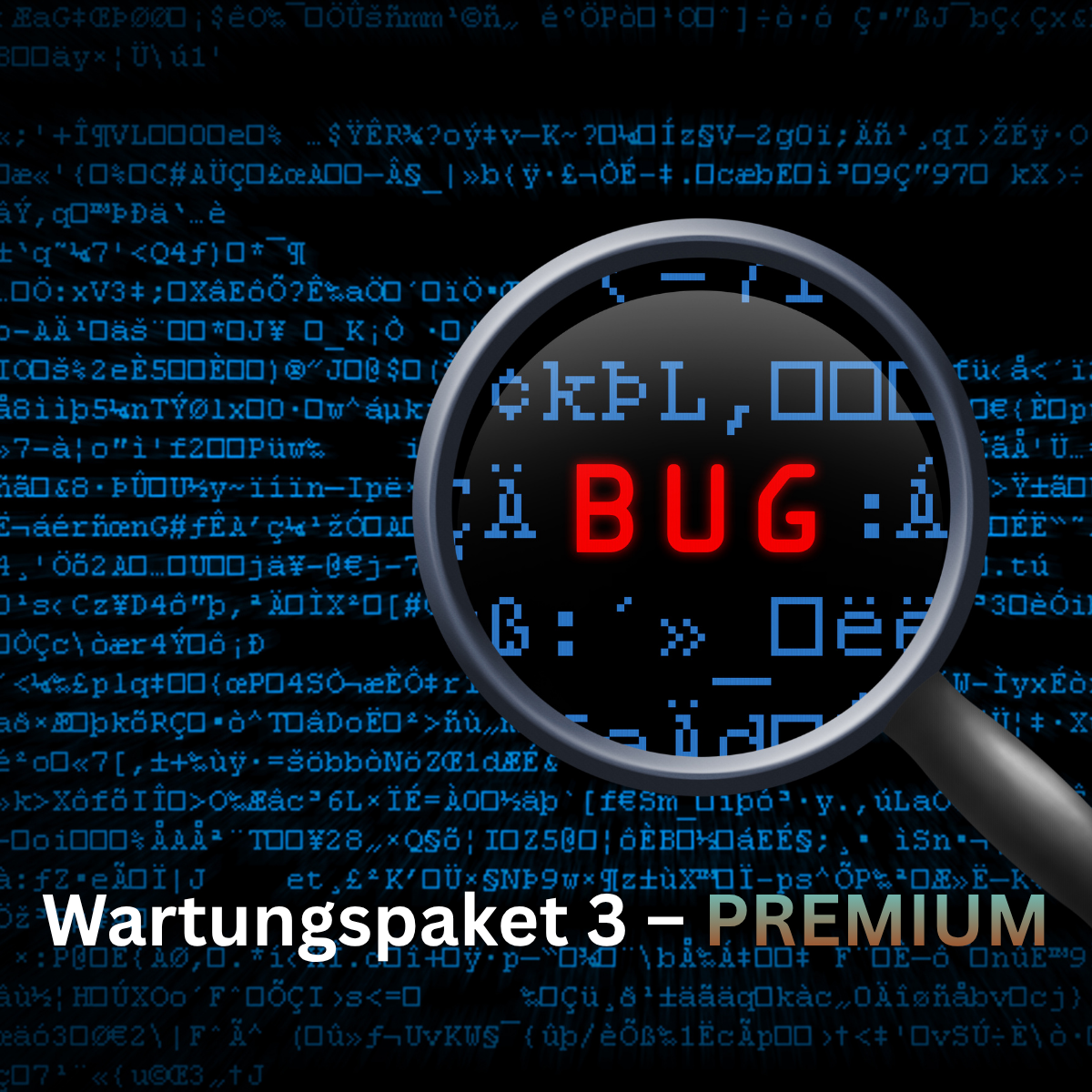 Wartungspaket 3 – Premium / Updates, neue Funktionen & Anpassungen